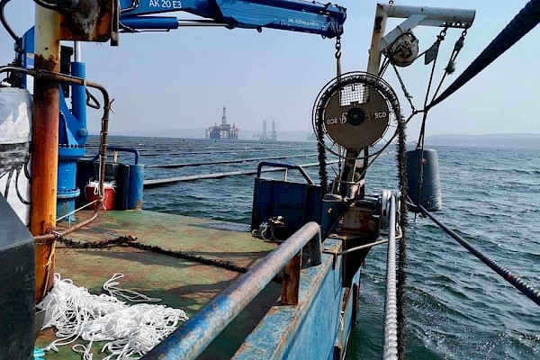 We've got the cranes, and you've got the mussels - Image