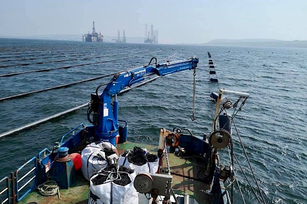We've got the cranes, and you've got the mussels - Image